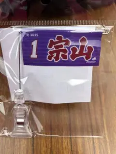 Item thumbnail for item 6b79f1e5-d9d8-4d84-859e-3b6fa85b2030