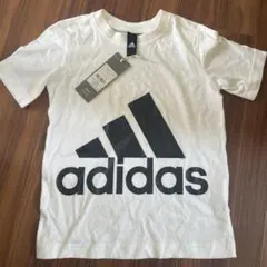 Item thumbnail for item c9c276c2-496b-4a3b-9055-9a107105dc14