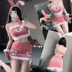 新品✨メリークリスマス誘惑可愛い兎サンタ～ セクシー ウサギコスプレ 衣装 53