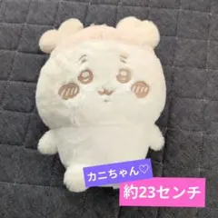 なかよしくみゃちゃん　リリアン　ぬいぐるみ BABY,THE STARS SHINE BRIGHT（ぬいぐるみ）のフリマアイテム一覧