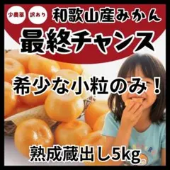 ■小玉 小粒のみ【安心安全】和歌山 減農薬みかん 箱込み 5kg 甘い！0302