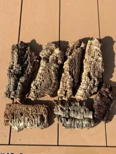 Item thumbnail for item 68f41d33-9ee4-4d01-ab0a-53c6f0013475