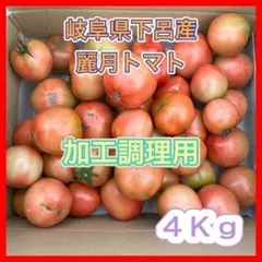 飛騨産 麗月トマト 小玉 規格外 4kg 農家直送 - メルカリ