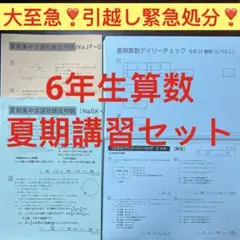 小6】サピックス算数SS特訓 SSOU（桜蔭コース）アプローチ（全11回