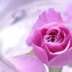 USAコットン*サーティーズ復刻柄*moda 30‘s Playtime白21