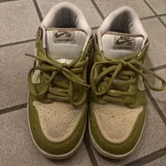 Nike SB スニーカー グリーン/ベージュ