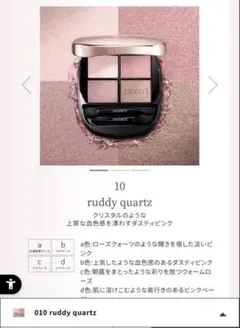 DECORTÉ スキンシャドウ デザイニング パレット 10