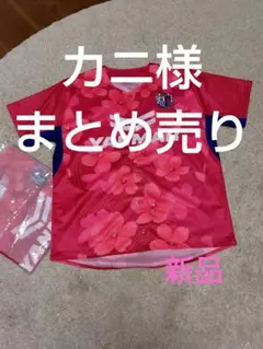 かにさん様 リクエスト 2点 まとめ商品