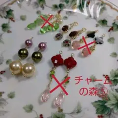選べる５点セット‼️ピアスチャームの森⑤
