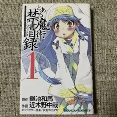 【初版・帯付き】とある魔術の禁書目録 1巻 近木野中哉 鎌池和馬 初版帯付き とある魔術の禁書目録 1巻 | Mercari