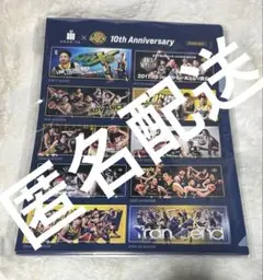 USAGIYA×BREX10周年記念 クリアファイル