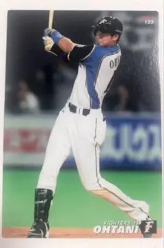 ☀️大谷翔平 プロ野球チップス 2014 二刀流 北海道日本ハムファイターズ打者