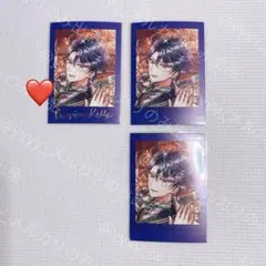 M*R様 あくねこ 悪魔執事と黒い猫 ぱしゃこれ 箔押し バスティン