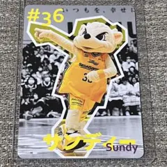 非売品 サンロッカーズ渋谷 ファンクラブ来場者限定配布カード サンディー