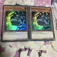 即買い可能　素早いビッグハムスター　英語　ウルトラ　スーパー　セット　1st