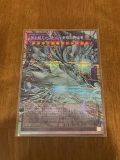 遊戯王 神を超えたし者 青眼の光臨竜 プリシク