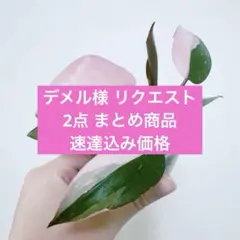 デメル様 リクエスト 2点 まとめ商品のサムネイル