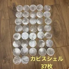 カピスシェル　ハンドメイド　結婚式　37枚