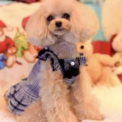 2025年最新】カリーナ 犬の人気アイテム - メルカリ