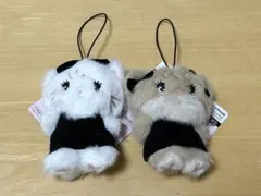 mikko BLACK RIBBON マスコット ムース ラテ