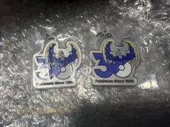 ポケモン 30周年 メタルチャームマスコット ルナアーラ