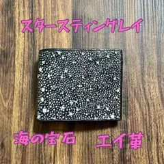 Item thumbnail for item 0e00ea6a-ce9f-4881-9484-880329801ddf