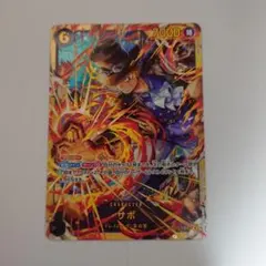 受け継がれる意思 サボ シークレット