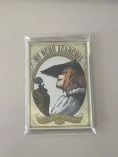 ヒロアカ　パブミラー風　上鳴