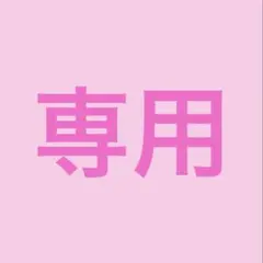 専用 シャー芯