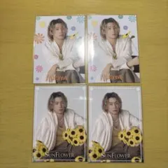 FANTASTICS 瀬口黎弥 SUNFLOWER フォトカード 4枚セット
