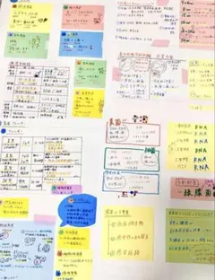 当日発送！看護付箋ノート☆看護学生事前学習☆付箋☆看護師国家試験☆