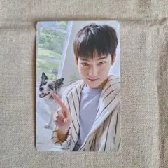 ENHYPEN ソヌアンケートトレカ