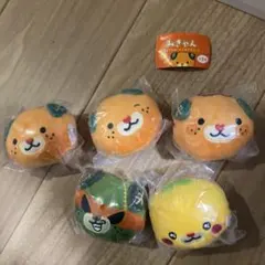 2026年最新】みきゃん みきゃんの人気アイテム - メルカリ