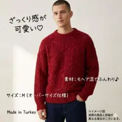 【ZARA MAN】ザラマン ケーブルニット セーター 赤 モヘア混 Mサイズ