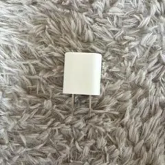 Apple 5W USB電源アダプター 1個セット