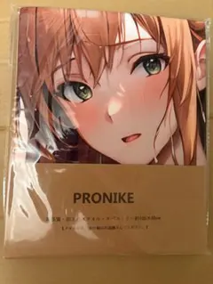 ソードアートオンライン アスナ ②　PRONIKE 萌えバスタオル タペストリー