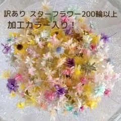 訳あり　お得　スターフラワー　200輪以上　加工カラーあり　ハーバリウム　レジン