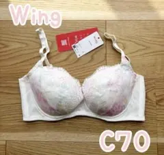 Item thumbnail for item a9986ddd-db4a-43d6-bddb-05bcec3467ca