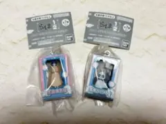 らんま1/2 天道あかね・玄馬(パンダ)【パッケージミニチュアコレクション】