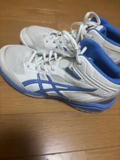 バッシュ バスケットボール