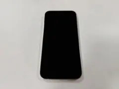 iPhone 13 Pro Max 256GB シルバー 背面ガラス割れ