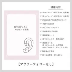 耳ツボジュエリー | 耳ツボ辞典 | 112通り＋αの症状 | B6サイズ - メルカリ