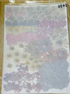 Item thumbnail for item 207a11da-b0f5-4d4d-b195-cea9c7e9b751