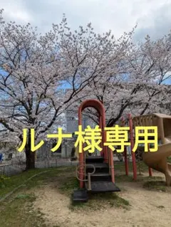 ルナ様専用