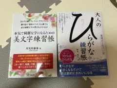 美文字練習帳 大人のひらがな練習帳 2冊セットのサムネイル