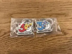 ポケモン 30周年 メタルチャーム 2個セット