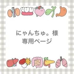 にゃんちゅ。様専用ページ