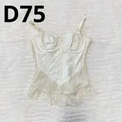 シャンデールスリーワンD75 2025年最新】シャンデール スリーインワン d75の人気アイテム - メルカリ