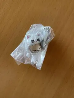 SKZOO つまんでつなげてマスコット フォクシニー アイエン