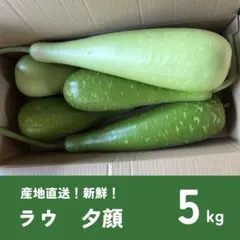 バングラデシュ野菜 ラウ（夕顔／Bottle Gourd）新鮮採れたて 13kg 